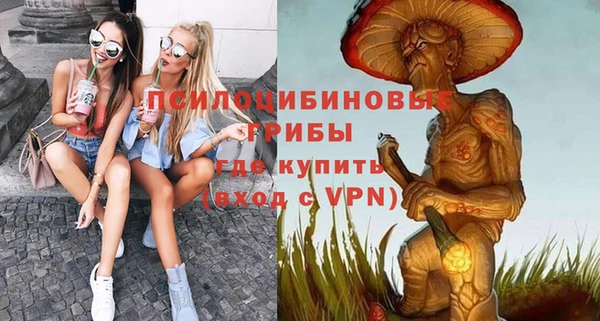 хмурый Мегион