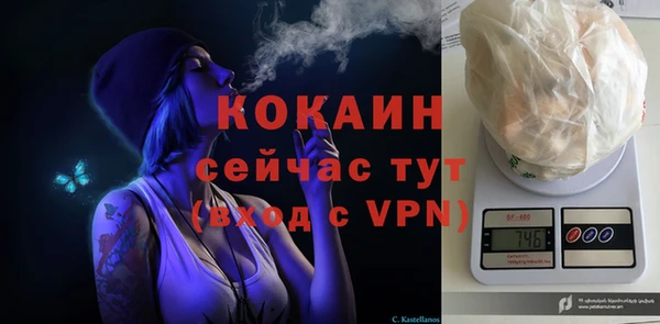 шишки Лиски