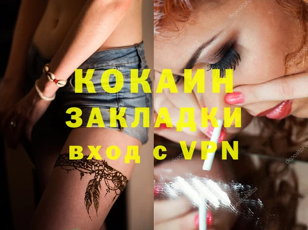 индика Лихославль