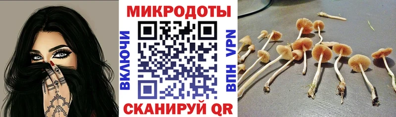 Псилоцибиновые грибы прущие грибы  Купить закладки  Боровичи 
